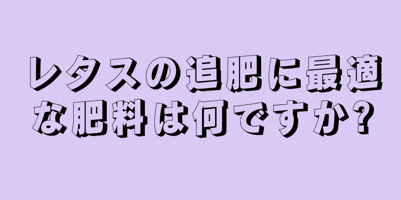 レタスの追肥に最適な肥料は何ですか?