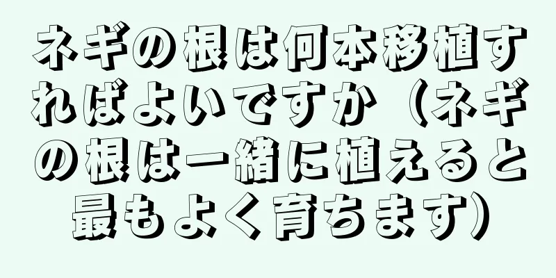 ネギの根は何本移植すればよいですか（ネギの根は一緒に植えると最もよく育ちます）