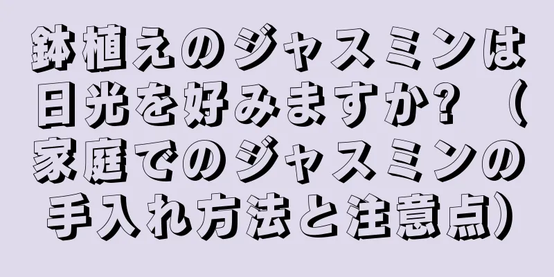 鉢植えのジャスミンは日光を好みますか? （家庭でのジャスミンの手入れ方法と注意点）