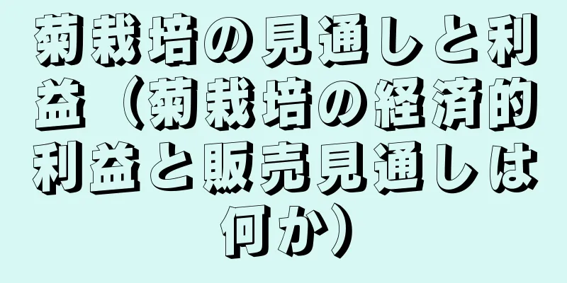 菊栽培の見通しと利益（菊栽培の経済的利益と販売見通しは何か）