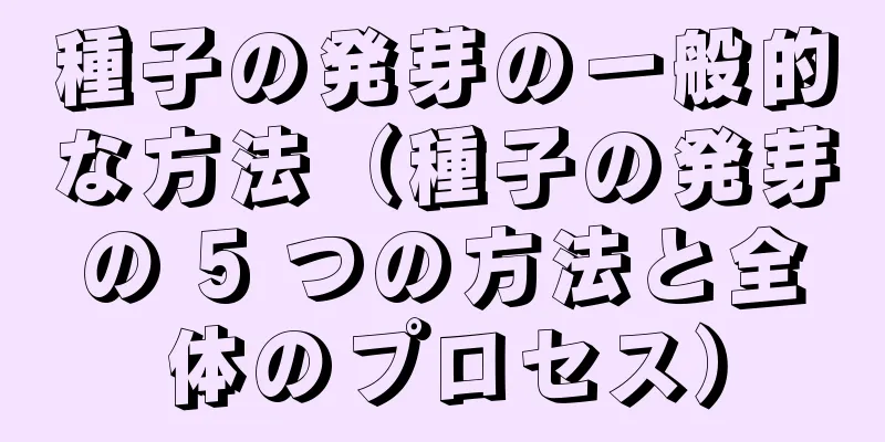 種子の発芽の一般的な方法（種子の発芽の 5 つの方法と全体のプロセス）