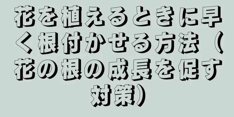花を植えるときに早く根付かせる方法（花の根の成長を促す対策）