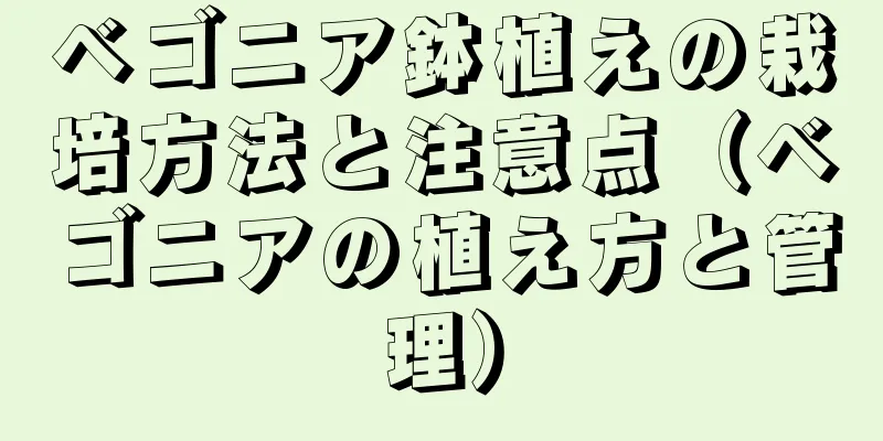 ベゴニア鉢植えの栽培方法と注意点（ベゴニアの植え方と管理）
