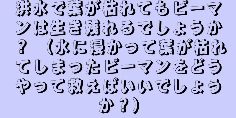洪水で葉が枯れてもピーマンは生き残れるでしょうか？ （水に浸かって葉が枯れてしまったピーマンをどうやって救えばいいでしょうか？）