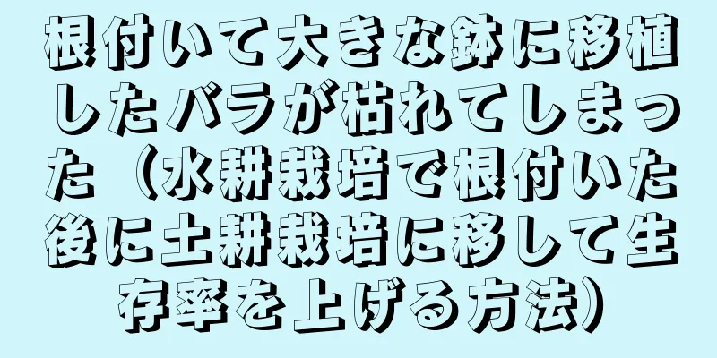 根付いて大きな鉢に移植したバラが枯れてしまった（水耕栽培で根付いた後に土耕栽培に移して生存率を上げる方法）