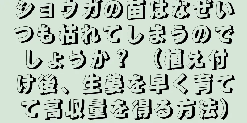ショウガの苗はなぜいつも枯れてしまうのでしょうか？ （植え付け後、生姜を早く育てて高収量を得る方法）