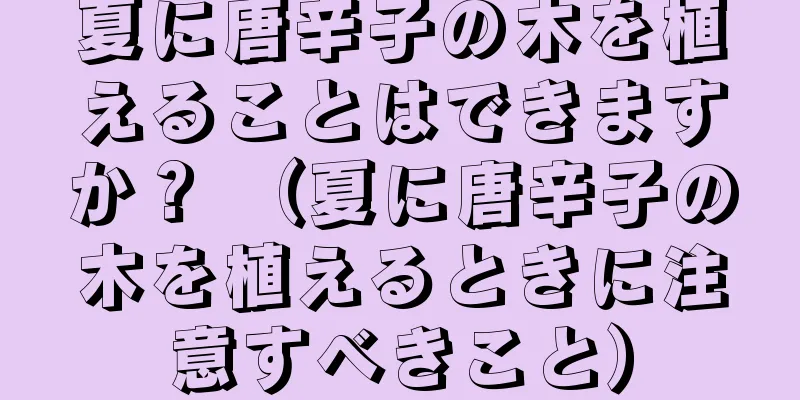 夏に唐辛子の木を植えることはできますか？ （夏に唐辛子の木を植えるときに注意すべきこと）