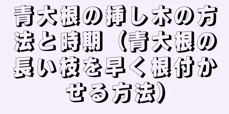 青大根の挿し木の方法と時期（青大根の長い枝を早く根付かせる方法）
