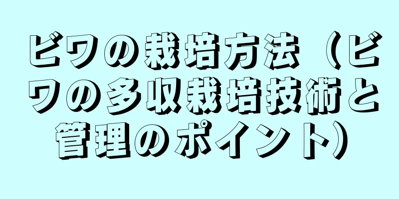 ビワの栽培方法（ビワの多収栽培技術と管理のポイント）