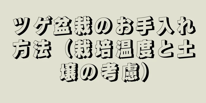 ツゲ盆栽のお手入れ方法（栽培温度と土壌の考慮）