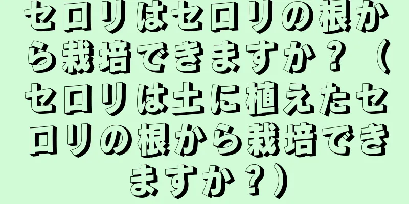 セロリはセロリの根から栽培できますか？（セロリは土に植えたセロリの根から栽培できますか？）