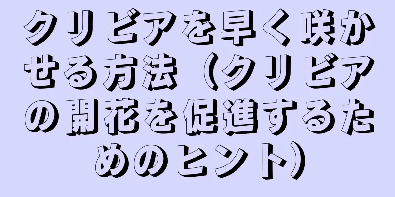 クリビアを早く咲かせる方法（クリビアの開花を促進するためのヒント）