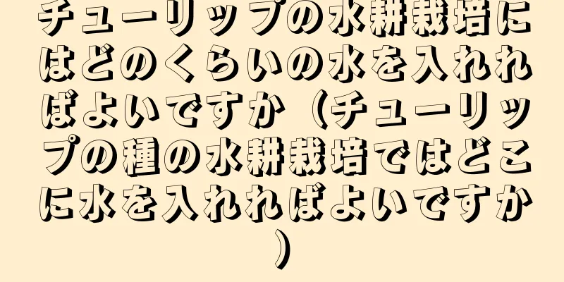 チューリップの水耕栽培にはどのくらいの水を入れればよいですか（チューリップの種の水耕栽培ではどこに水を入れればよいですか）