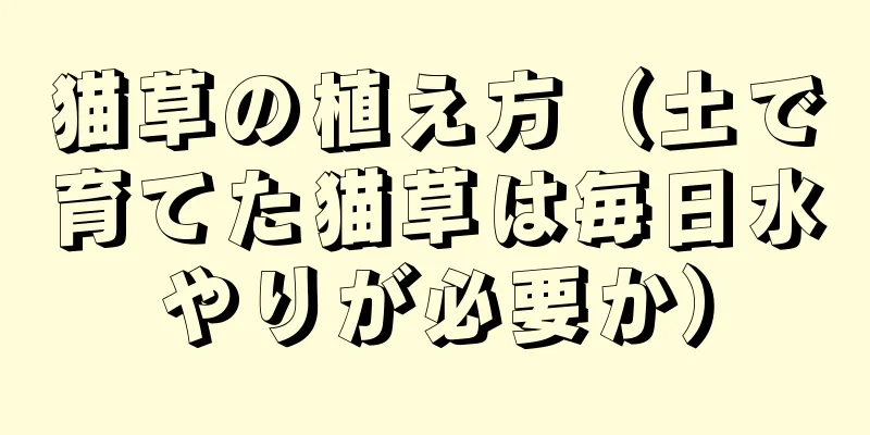 猫草の植え方（土で育てた猫草は毎日水やりが必要か）