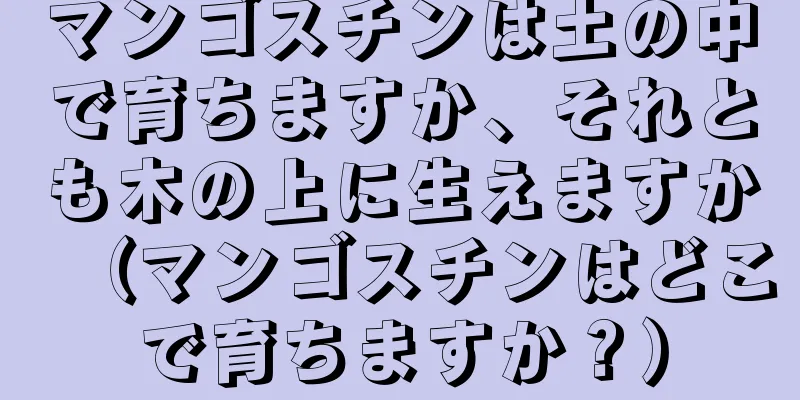 マンゴスチンは土の中で育ちますか、それとも木の上に生えますか（マンゴスチンはどこで育ちますか？）