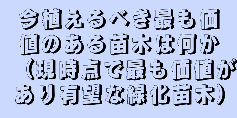 今植えるべき最も価値のある苗木は何か（現時点で最も価値があり有望な緑化苗木）