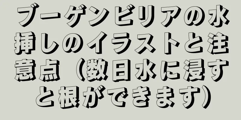 ブーゲンビリアの水挿しのイラストと注意点（数日水に浸すと根ができます）