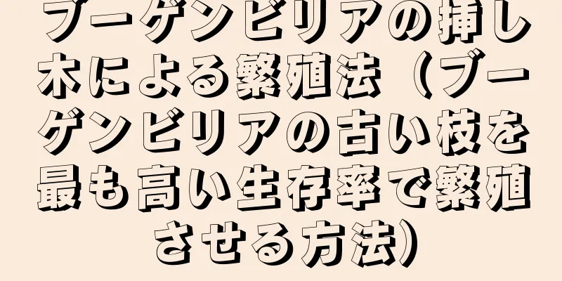 ブーゲンビリアの挿し木による繁殖法（ブーゲンビリアの古い枝を最も高い生存率で繁殖させる方法）