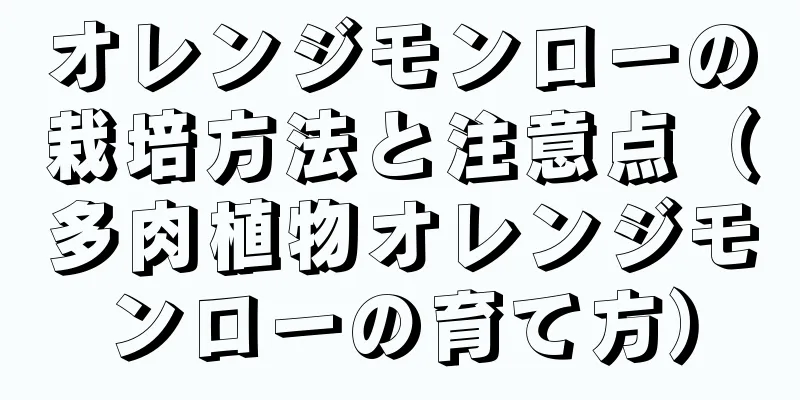 オレンジモンローの栽培方法と注意点（多肉植物オレンジモンローの育て方）