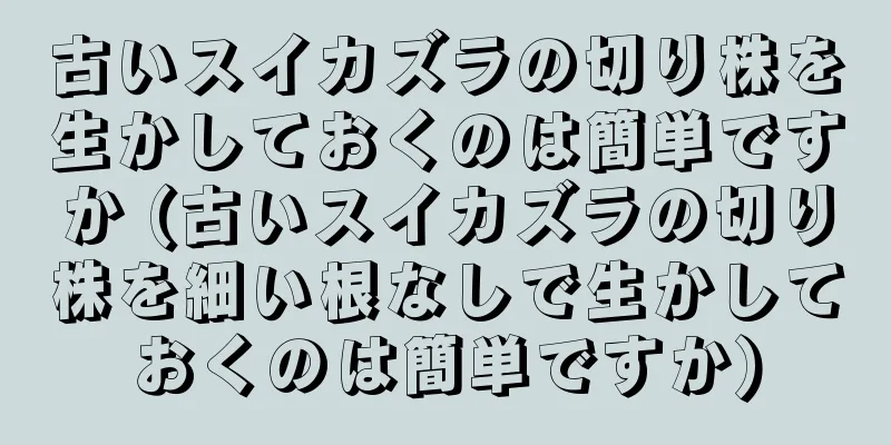 古いスイカズラの切り株を生かしておくのは簡単ですか (古いスイカズラの切り株を細い根なしで生かしておくのは簡単ですか)