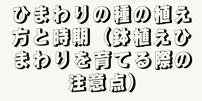 ひまわりの種の植え方と時期（鉢植えひまわりを育てる際の注意点）