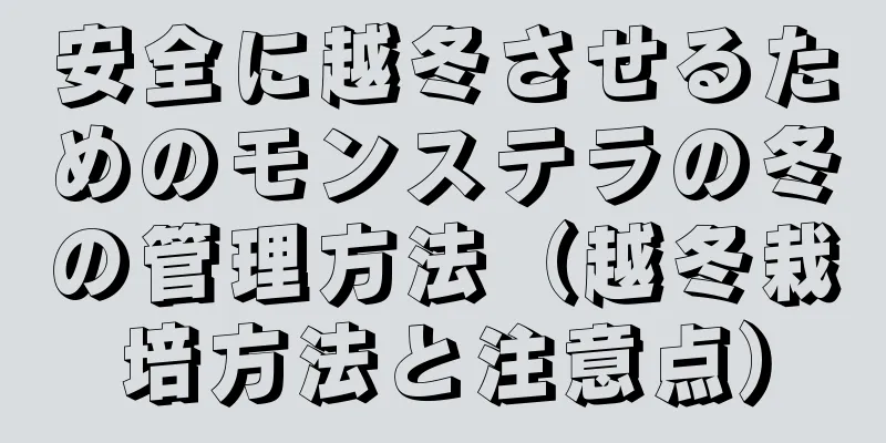 安全に越冬させるためのモンステラの冬の管理方法（越冬栽培方法と注意点）