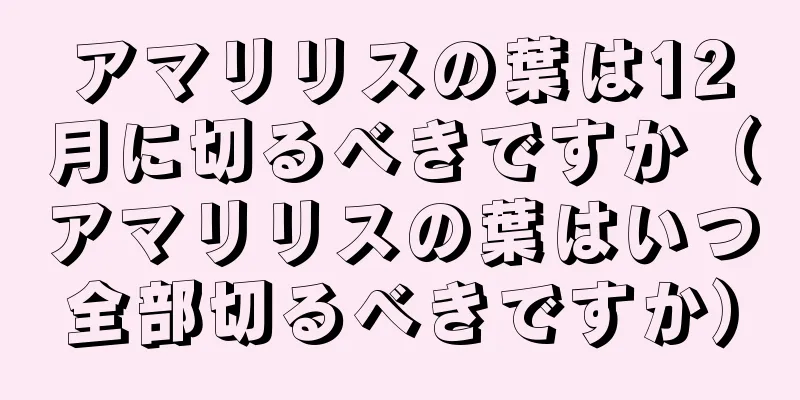 アマリリスの葉は12月に切るべきですか（アマリリスの葉はいつ全部切るべきですか）