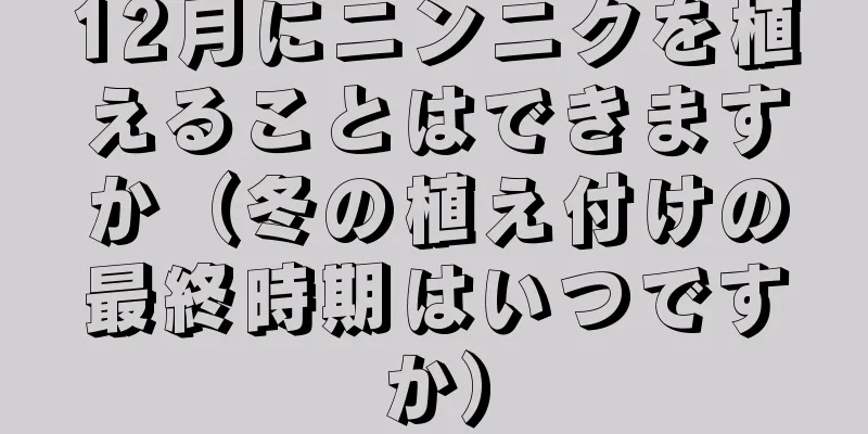 12月にニンニクを植えることはできますか（冬の植え付けの最終時期はいつですか）