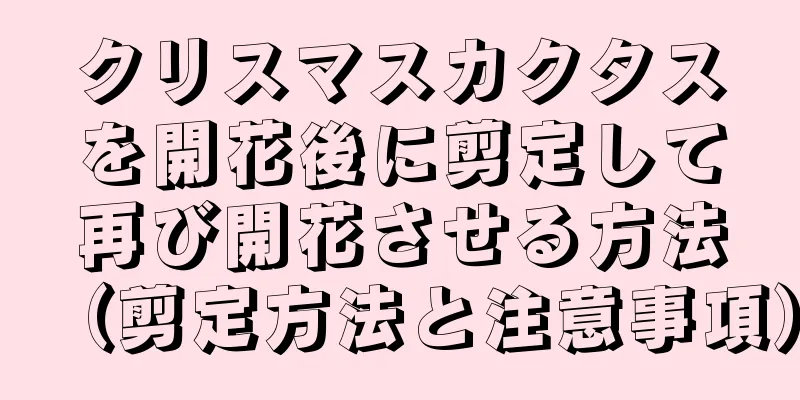 クリスマスカクタスを開花後に剪定して再び開花させる方法（剪定方法と注意事項）