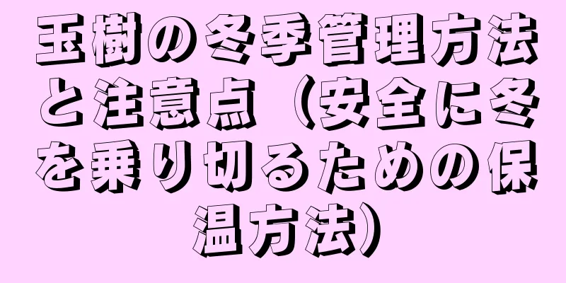 玉樹の冬季管理方法と注意点（安全に冬を乗り切るための保温方法）