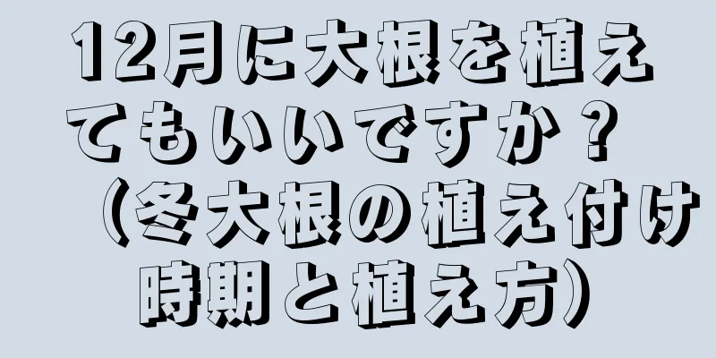 12月に大根を植えてもいいですか？ （冬大根の植え付け時期と植え方）