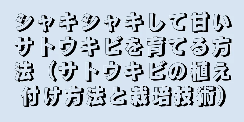 シャキシャキして甘いサトウキビを育てる方法（サトウキビの植え付け方法と栽培技術）