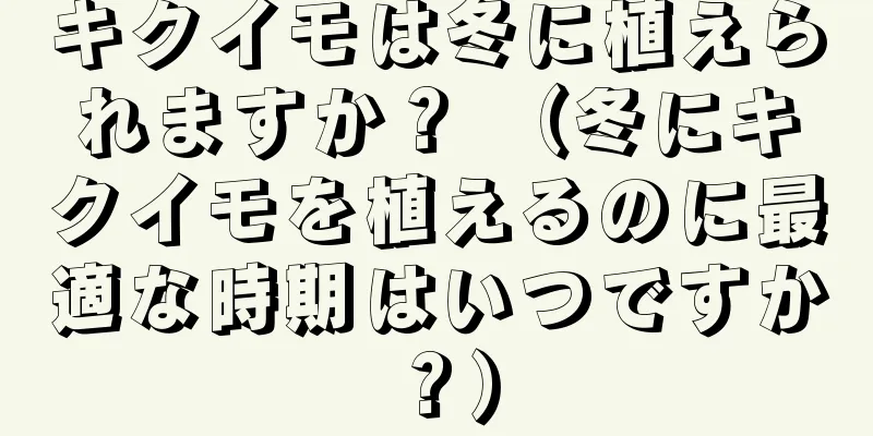 キクイモは冬に植えられますか？ （冬にキクイモを植えるのに最適な時期はいつですか？）