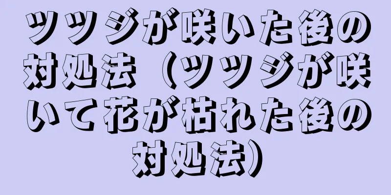 ツツジが咲いた後の対処法（ツツジが咲いて花が枯れた後の対処法）
