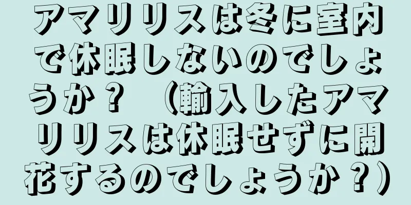 アマリリスは冬に室内で休眠しないのでしょうか？ （輸入したアマリリスは休眠せずに開花するのでしょうか？）