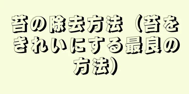 苔の除去方法（苔をきれいにする最良の方法）