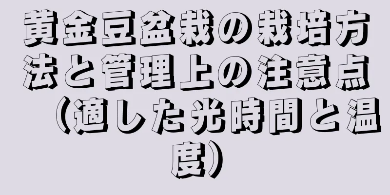 黄金豆盆栽の栽培方法と管理上の注意点（適した光時間と温度）