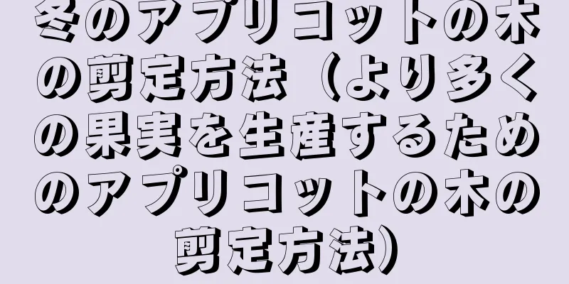 冬のアプリコットの木の剪定方法（より多くの果実を生産するためのアプリコットの木の剪定方法）