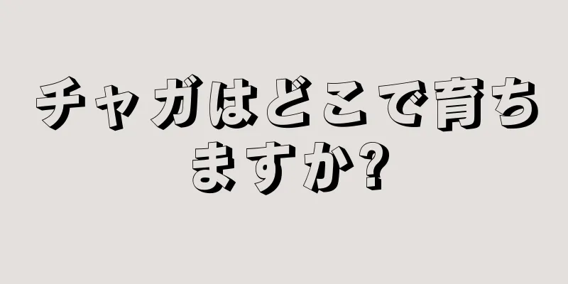 チャガはどこで育ちますか?