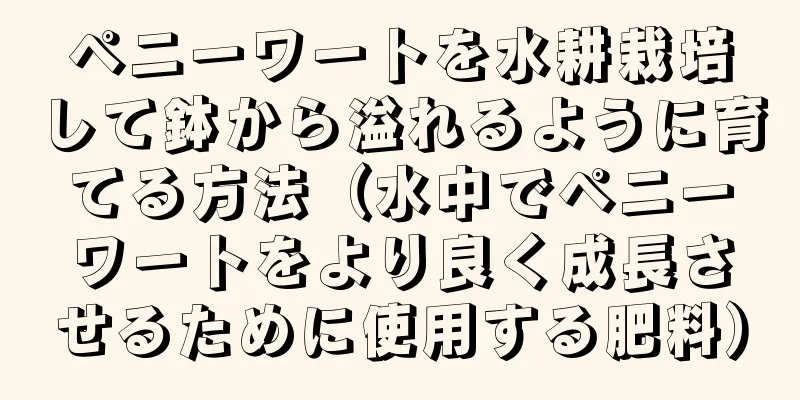 ペニーワートを水耕栽培して鉢から溢れるように育てる方法（水中でペニーワートをより良く成長させるために使用する肥料）