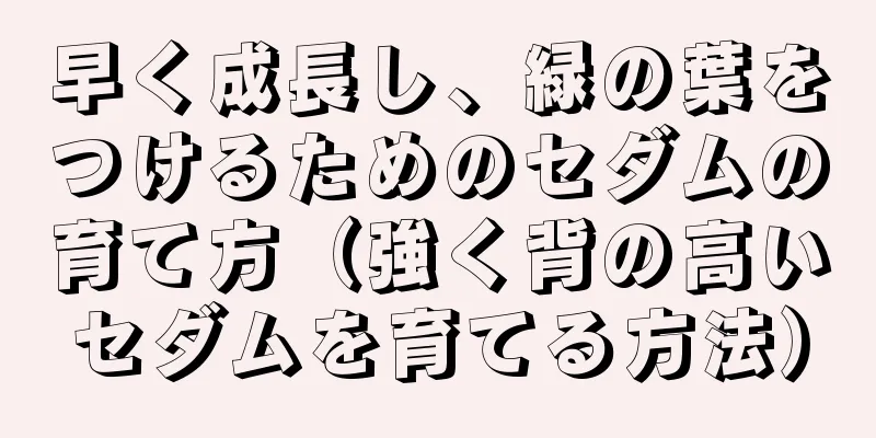 早く成長し、緑の葉をつけるためのセダムの育て方（強く背の高いセダムを育てる方法）