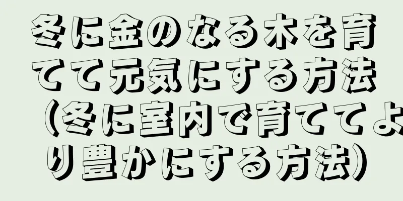 冬に金のなる木を育てて元気にする方法（冬に室内で育ててより豊かにする方法）