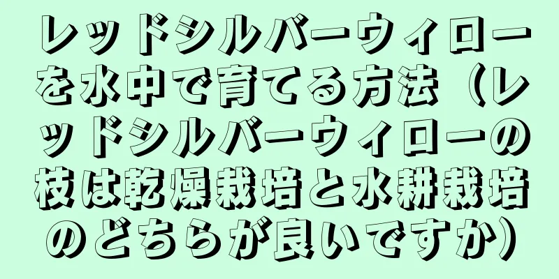 レッドシルバーウィローを水中で育てる方法（レッドシルバーウィローの枝は乾燥栽培と水耕栽培のどちらが良いですか）