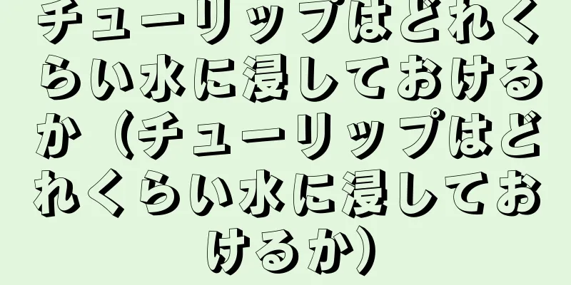 チューリップはどれくらい水に浸しておけるか（チューリップはどれくらい水に浸しておけるか）