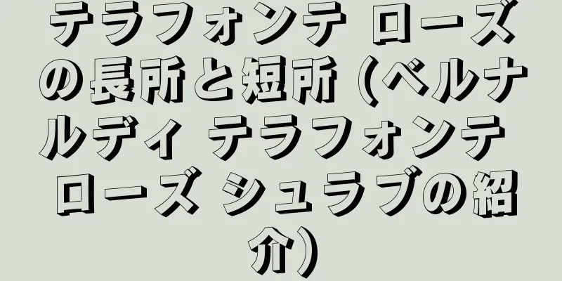 テラフォンテ ローズの長所と短所 (ベルナルディ テラフォンテ ローズ シュラブの紹介)