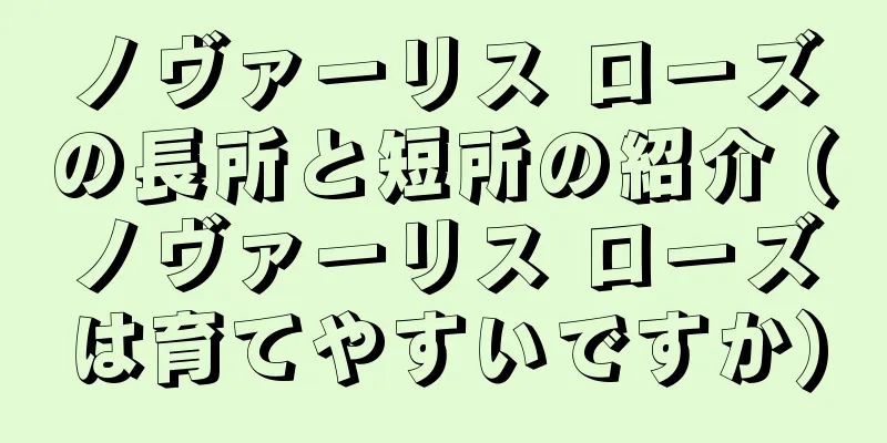 ノヴァーリス ローズの長所と短所の紹介 (ノヴァーリス ローズは育てやすいですか)