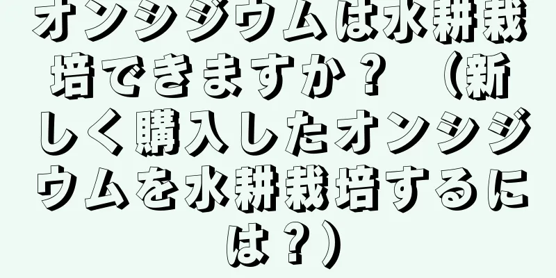 オンシジウムは水耕栽培できますか？ （新しく購入したオンシジウムを水耕栽培するには？）