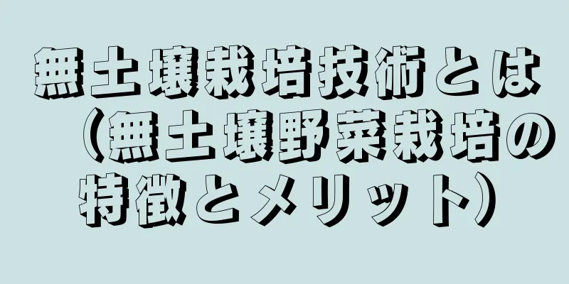 無土壌栽培技術とは（無土壌野菜栽培の特徴とメリット）