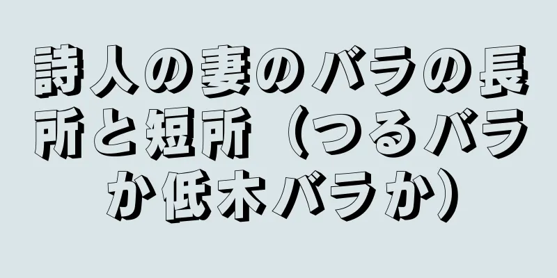 詩人の妻のバラの長所と短所（つるバラか低木バラか）