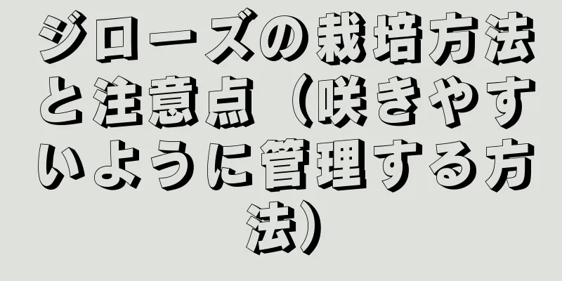 ジローズの栽培方法と注意点（咲きやすいように管理する方法）